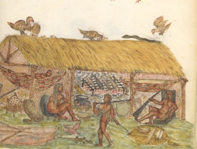 16th century image of a Caribbean native house. Plate 113, Histoire naturelle des Indes: The Drake Manuscript in the Pierpont Morgan Library. Retrieved from https://www.flmnh.ufl.edu/histarch/ebs_taino_culturehistory.htm