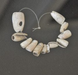 Taino shell necklace. Image retrieved from http://blog.mailasail.com/beezneez/461.