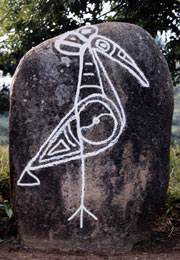 Rock petroglyph overlaid with chalk in the Caguana Indigenous Ceremonial Center in Utuado, Puerto Rico. Retrieved from http://en.wikipedia.org/wiki/Ta%C3%ADno#/media/File:Reconstruction_of_Taino_village,_Cuba.JPG%29.